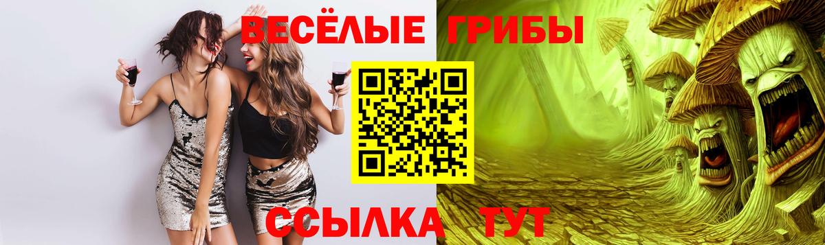 Топки  Галлюциногенные грибы GOLDEN TEACHER  Псилоцибиновые грибы Psilocybine cubensis  Вход с VPN 
